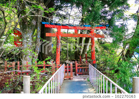 Torii at Kuzuryu Shrine pier 102270163