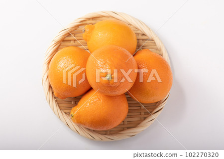 Mineola Orange 102270320