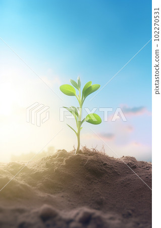 sprout young tree asahi hope ecology agriculture 102270531