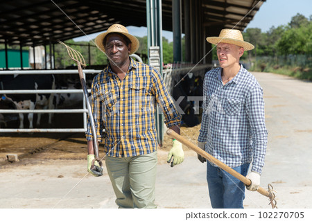 Farm workers with pitchforks walking after work Farm workers with pitchforks walking after work 102270705