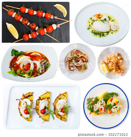 Dishes with squid and cuttlefish Dishes with squid and cuttlefish 102271022