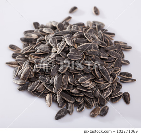 Sunflower black seeds on white background close up, nobody Sunflower black seeds on white background close up, nobody 102271069