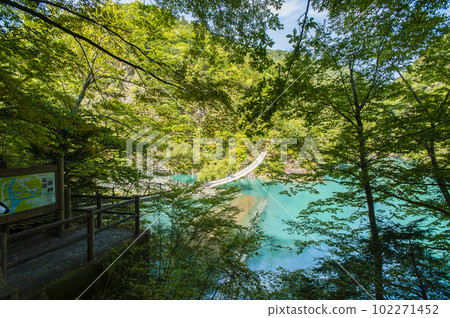 墨又峽 7381 墨又峽 7381 102271452