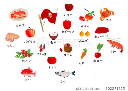 Red food illustration set 2 102271625