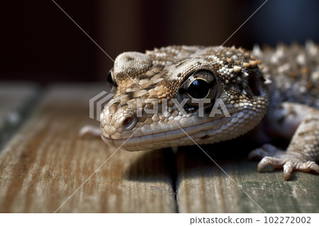 Image of a gecko on the floor. Reptile. illustration, generative AI. 102272002