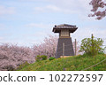 松原綾瀨川綠地公園的櫻花和燈塔 102272597
