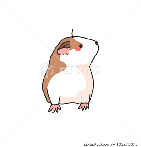 Cute Guinea Pig. Popular Domestic Animal. 102273073