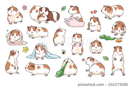 Guinea Pig Poses Isolated Vector Icon Set. Domestic Pet rodents collection. Cute Cartoon Hamster or Guinea Pig Illustrations Collection. 102273080