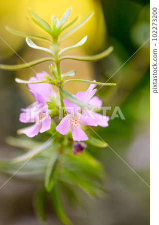 West Lynn Gear Flower 102273200