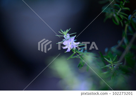 West Lynn Gear Flower 102273201