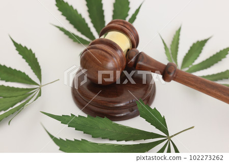 Judge gavel lies on sound block among leaves of cannabis Judge gavel lies on sound block among leaves of cannabis 102273262