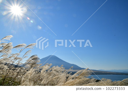 Susuki和Fuji Susuki和Fuji 102273333