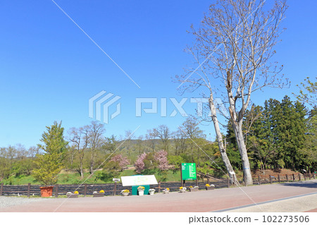 Azumino Daio Wasabi Farm Spring Azumino Daio Wasabi Farm Spring 102273506