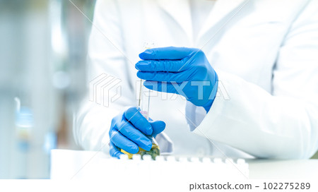 tested and experimental changes in plant genetics in the laboratory 102275289