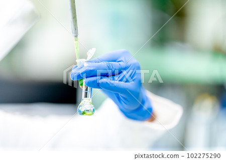 chemical substance in a glass test tube in a research laboratory. genetic test 102275290