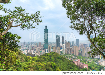 台灣 2023 台北 101 大象山景 台灣 2023 台北 101 大象山景 102275347