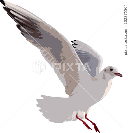 一隻海鷗在天上飛 102275504