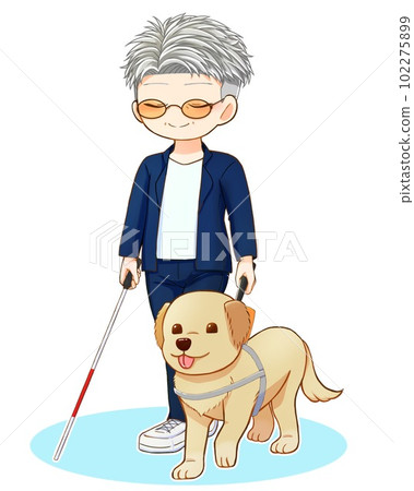 一個帶著導盲犬和一根白手杖的老人 102275899