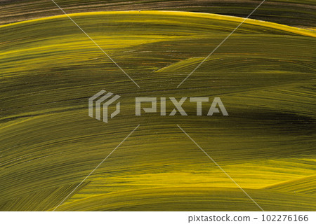 mixed yellow and black 102276166