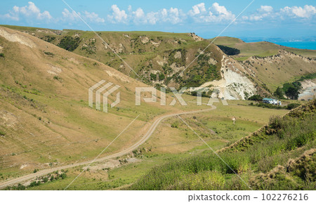 The beautiful grassland of Cape Kidnappers in Hawke's Bay region of New Zealand. 102276216