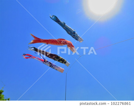 Carp streamers swimming under the sun and blue sky 102276861