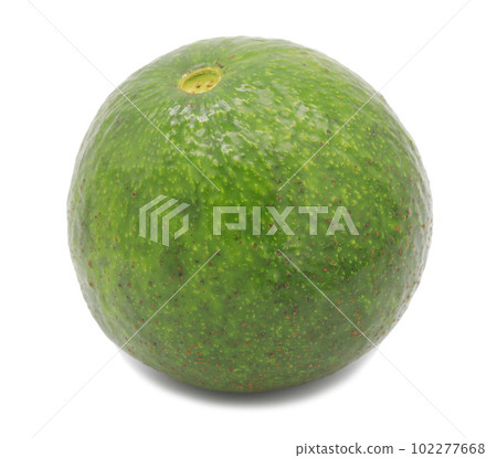 Avogado fruit isolated on white background Avogado fruit isolated on white background 102277668