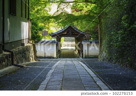 東福寺、圓月橋、新綠的季節（京都市東山區） 102278153