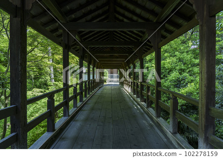 Tofuku-ji Temple, Engetsu Bridge, Season of fresh greenery (Higashiyama Ward, Kyoto City) 102278159