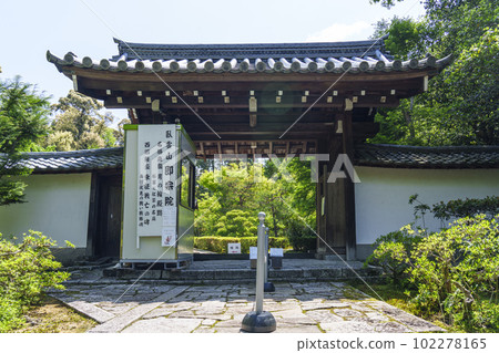 東福寺別院、干雲山植樹院門、新綠的季節（京都市東山區） 102278165