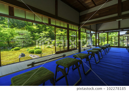 綠意盎然的季節——甘雲山速草院（京都市東山區） 102278185