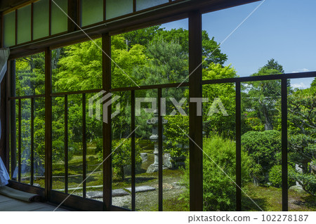 Gaunzan Sokuso-in garden, the season of fresh greenery (Higashiyama-ku, Kyoto) 102278187