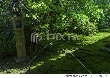 綠意盎然的季節——甘雲山速草院（京都市東山區） 102278194