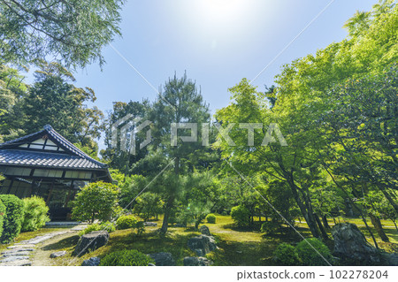 Gaunzan Sokuso-in garden, the season of fresh greenery (Higashiyama-ku, Kyoto) Gaunzan Sokuso-in garden, the season of fresh greenery (Higashiyama-ku, Kyoto) 102278204