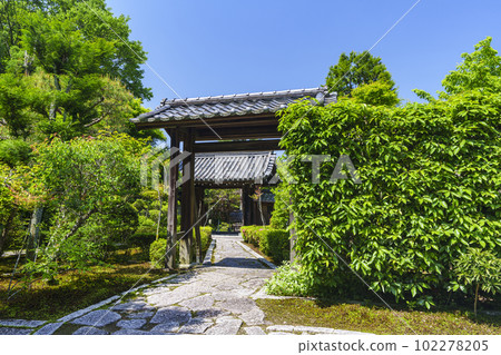 Tofuku-ji sub-temple, Gaunzan Sokushu-in temple gate, season of fresh greenery (Higashiyama-ku, Kyoto) Tofuku-ji sub-temple, Gaunzan Sokushu-in temple gate, season of fresh greenery (Higashiyama-ku, Kyoto) 102278205