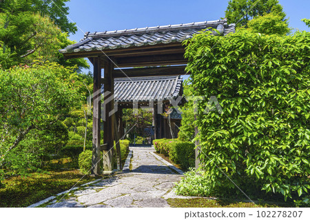 Tofuku-ji sub-temple, Gaunzan Sokushu-in temple gate, season of fresh greenery (Higashiyama-ku, Kyoto) 102278207