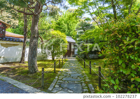 東福寺分寺龍吟庵門新綠時節(京都市東山區) 東福寺分寺龍吟庵門新綠時節(京都市東山區) 102278237