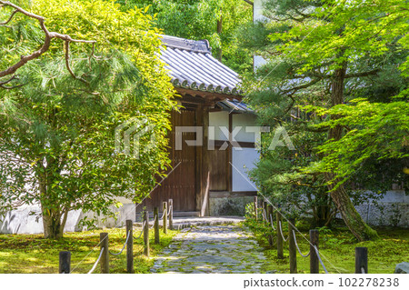 東福寺分寺龍吟庵門新綠時節(京都市東山區) 東福寺分寺龍吟庵門新綠時節(京都市東山區) 102278238