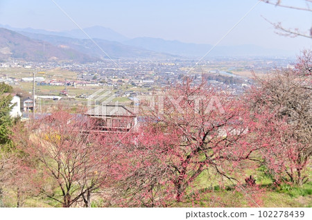 從長樂寺院內看到的善光寺平 102278439