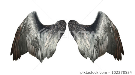 Bird wings isolated on white backround. 102278584