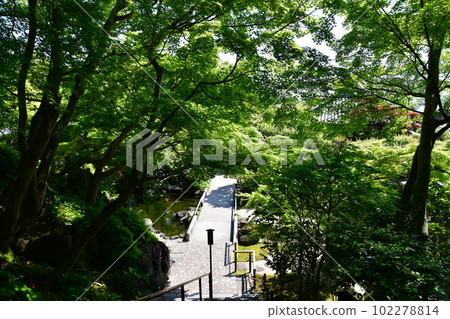Hase Temple Hase Temple 102278814