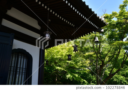 Hase Temple Hase Temple 102278846