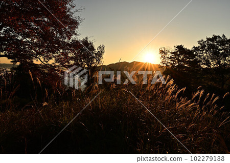 Sea of clouds from Yakami Castle Sea of clouds from Yakami Castle 102279188