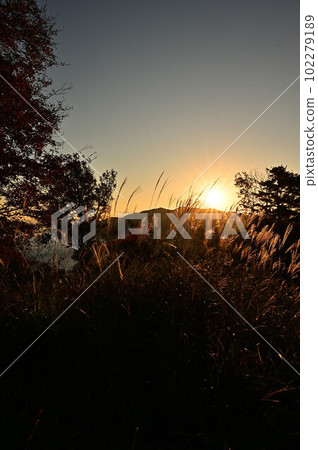 八神城的雲海 八神城的雲海 102279189