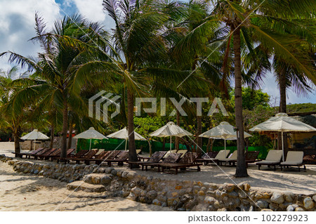 Beach holidays. 102279923