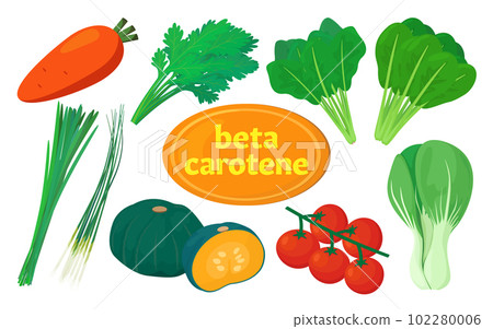 含有 β 胡蘿蔔素的食物的矢量圖解。 含有 β 胡蘿蔔素的食物的矢量圖解。 102280006