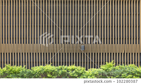 Wooden slatted wall on black backdrop decorated with green plant. Wooden slatted wall on black backdrop decorated with green plant. 102280387