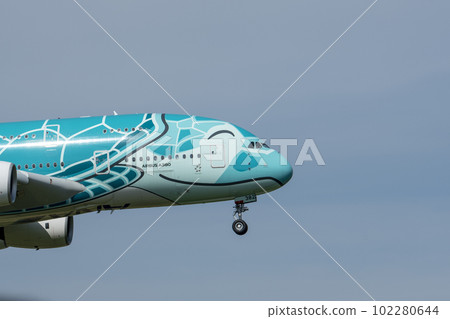 Flying Honu Flying Honu 102280644