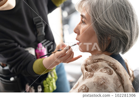 Hair make-up woman make-up 102281306