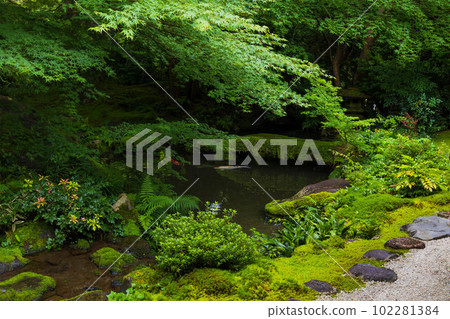 The ancient capital of Kyoto, summer in Yase, the fresh green of Ruriko-in Temple, Garyu-no-niwa 102281384