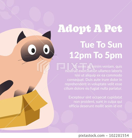 Adopt pet, cute kitty feline animal adoption care Adopt pet, cute kitty feline animal adoption care 102281554